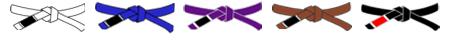 belts colors